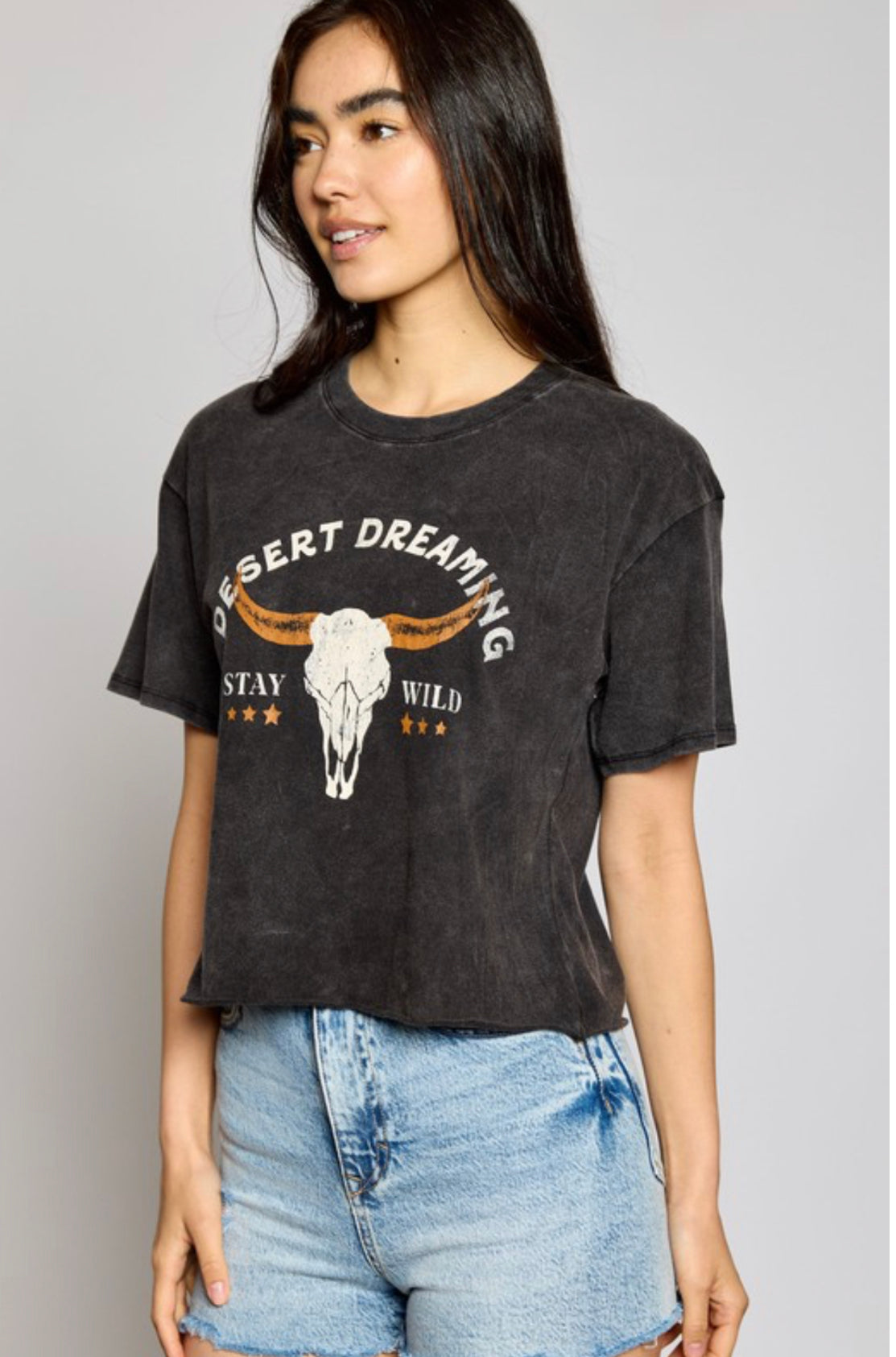 Desert Dreaming Cropped Tee