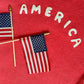 America Sweatshirt